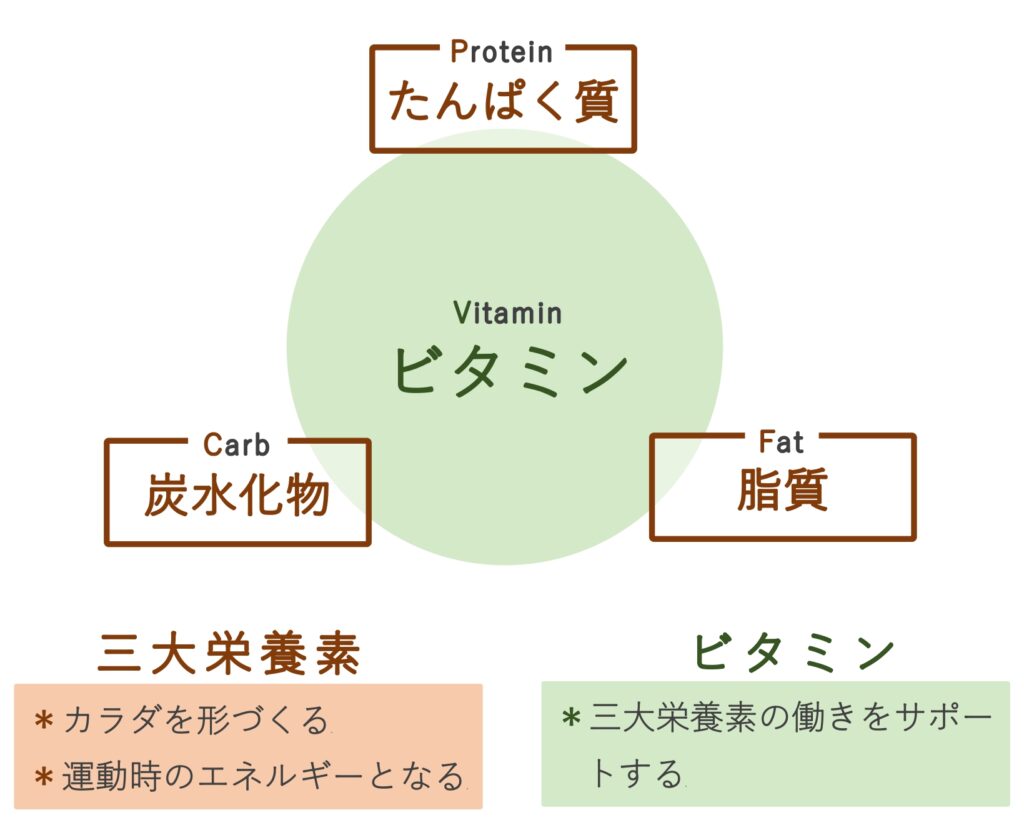 vitamin_action
